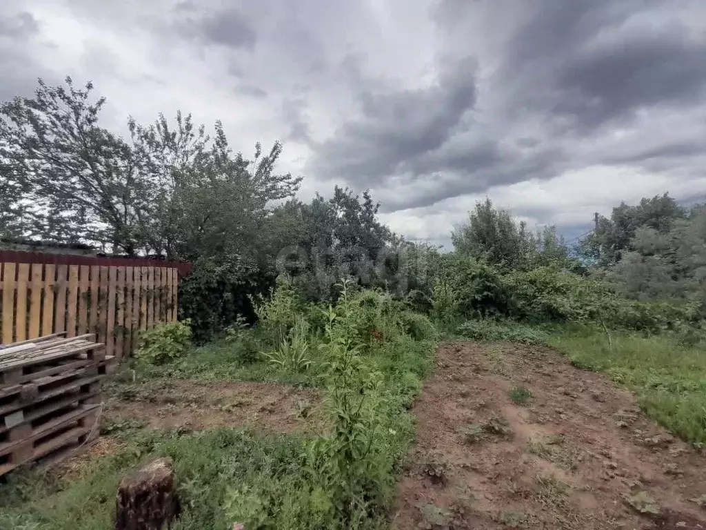 Участок в Оренбургская область, Оренбургский район, Нежинский ... - Фото 1