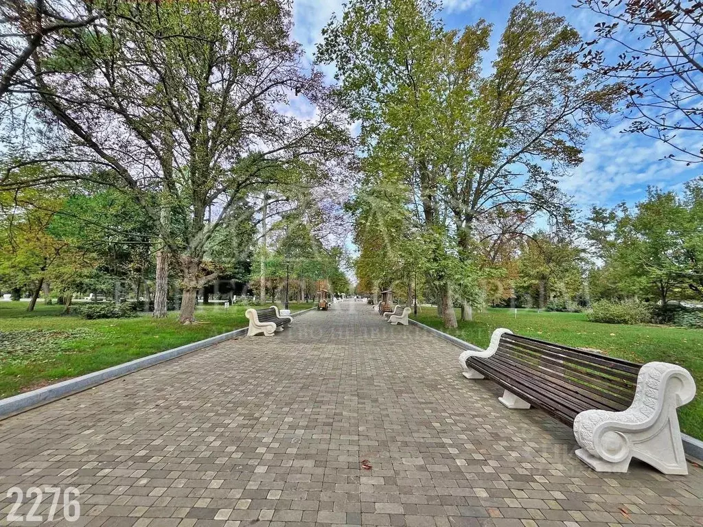 2-к кв. Севастополь ул. Матвея Воронина, 63 (44.8 м) - Фото 1