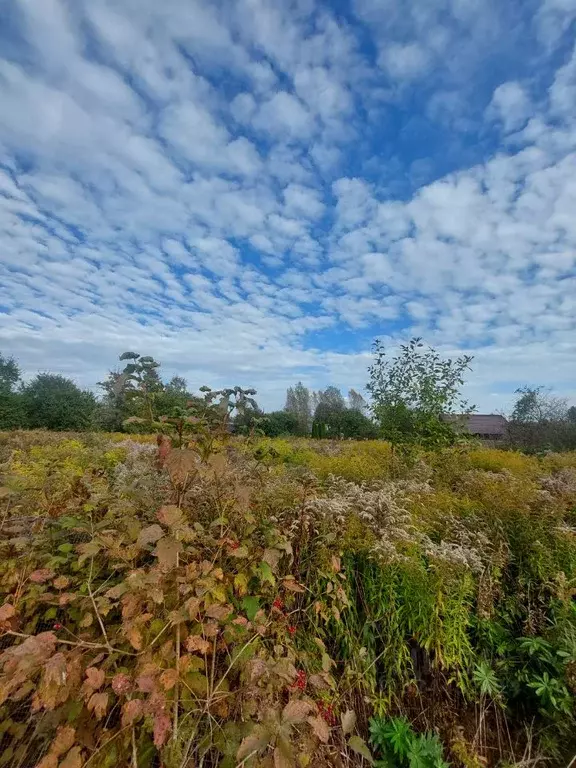 Участок в Псковская область, Псковский район, Тямшанская волость, д. ... - Фото 2