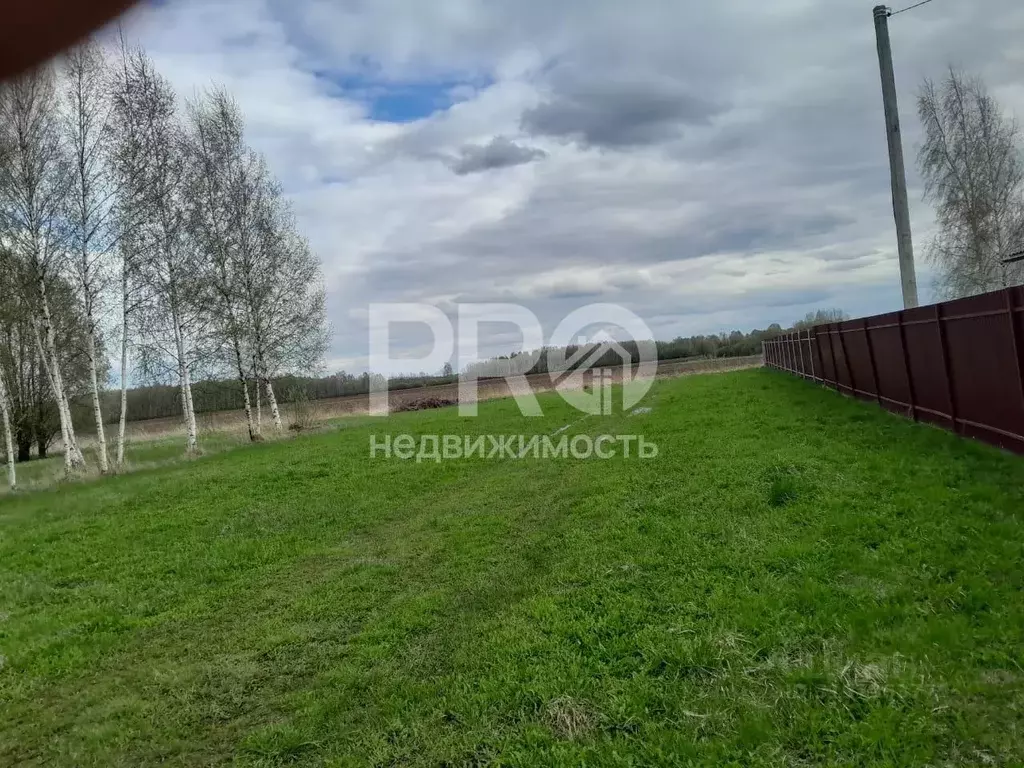 Участок в Ярославская область, Ярославский муниципальный округ, д. ... - Фото 2