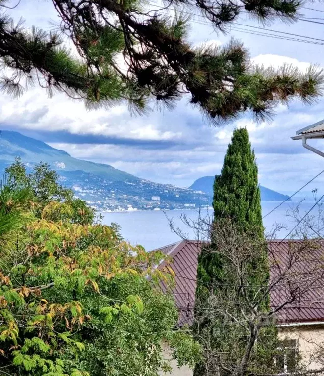 Участок в Крым, Ялта муниципальный округ, Гаспра пгт ул. Парусная (3.6 ... - Фото 1