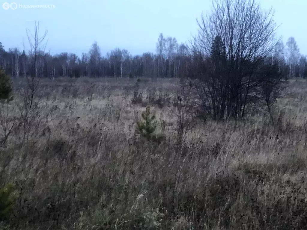 Участок в Томский район, деревня Борики (150 м) - Фото 2