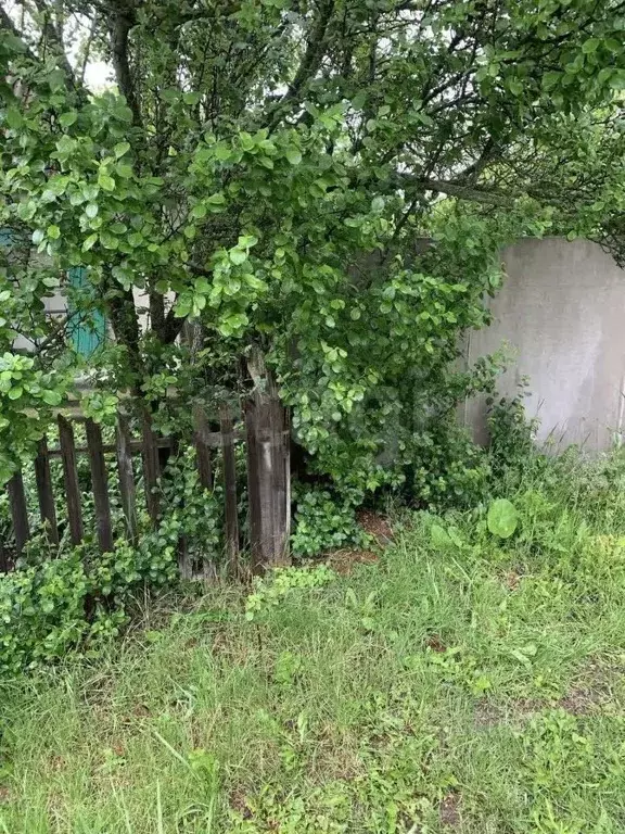 Участок в Белгородская область, Вейделевка рп ул. Свободы, 149 (18.4 ... - Фото 1