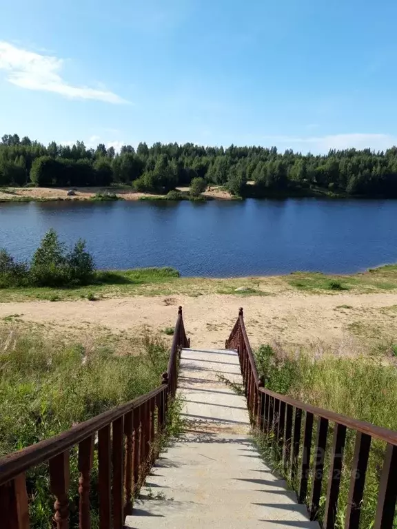 Участок в Ленинградская область, Всеволожский район, Сертоловское ... - Фото 0