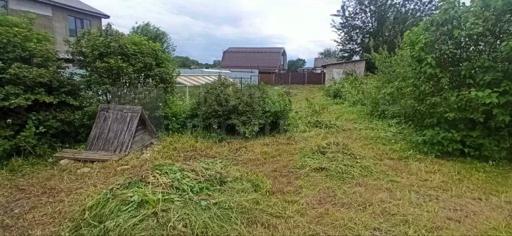 Участок в Новгородская область, Боровичский район, Сушанское с/пос, д. ... - Фото 1