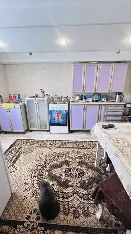 Дом в Башкортостан, Уфа № 40 КС, ул. Алмазная (63 м) - Фото 1