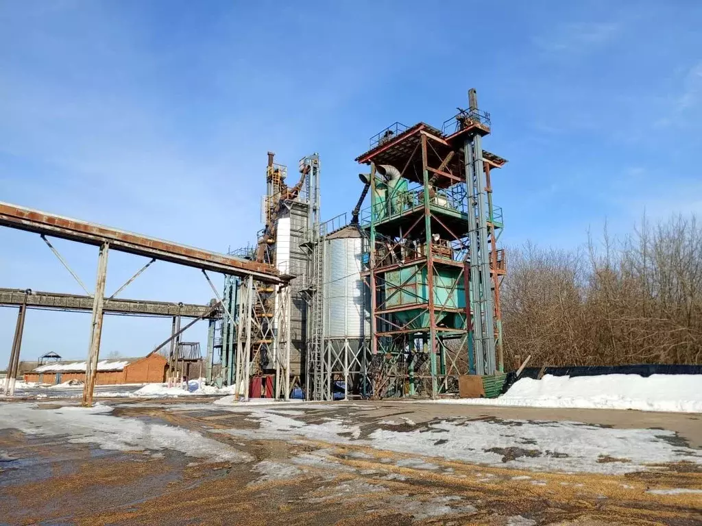 Помещение свободного назначения в Татарстан, Агрыз Азиатская ул., 45 ... - Фото 1