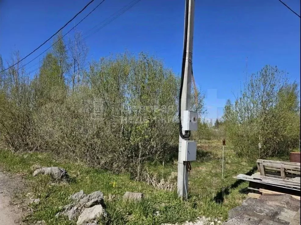 Участок в Новгородская область, Чудово Солнечная ул., 3 (15.0 сот.) - Фото 0