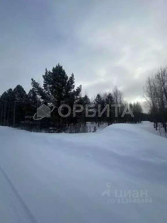 Участок в Тюменская область, Нижнетавдинский район, д. Аракчина  (8.52 ... - Фото 1