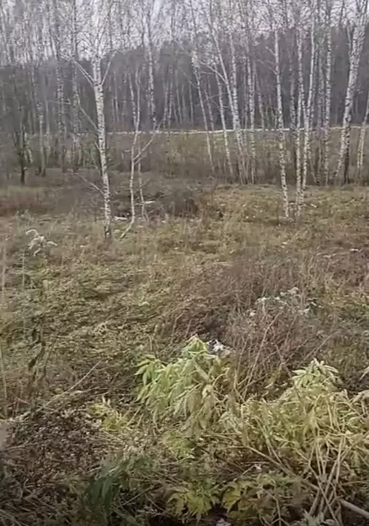 Участок в Московская область, Наро-Фоминский городской округ, д. ... - Фото 2