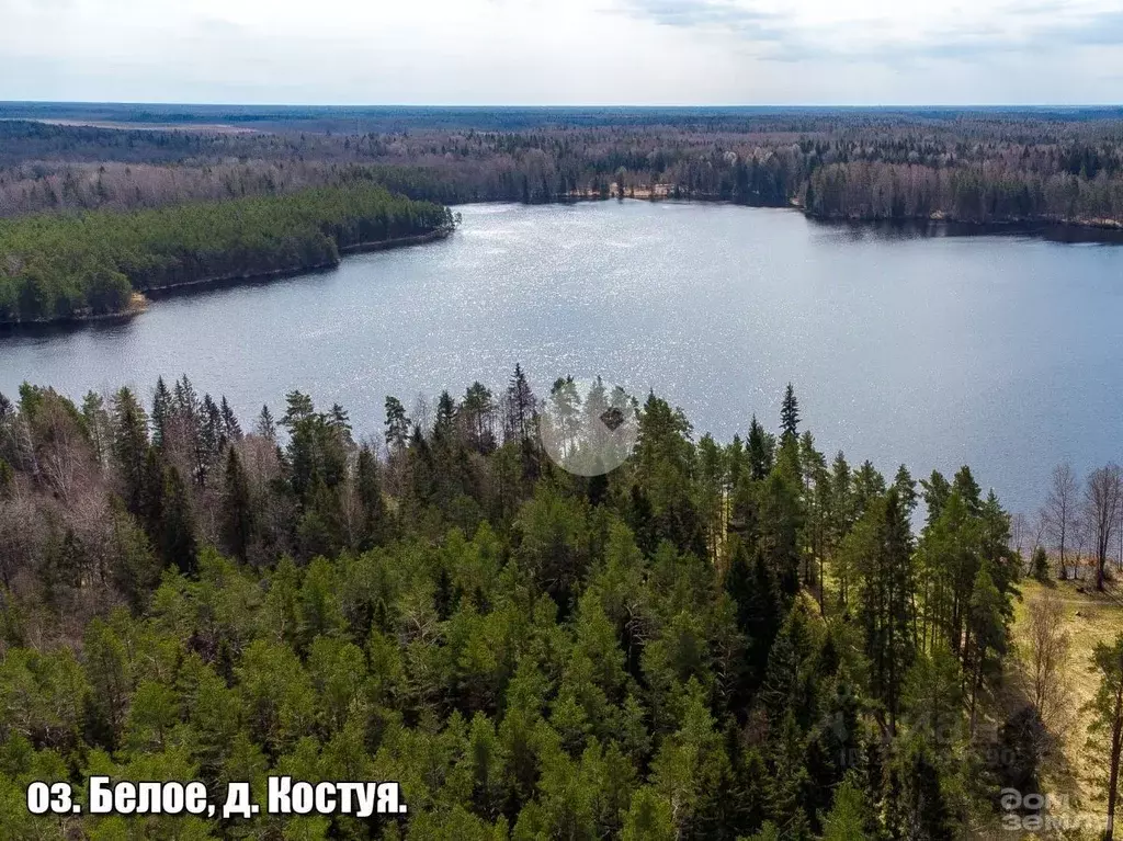 Участок в Ленинградская область, Тосненский район, Любанское городское ... - Фото 0