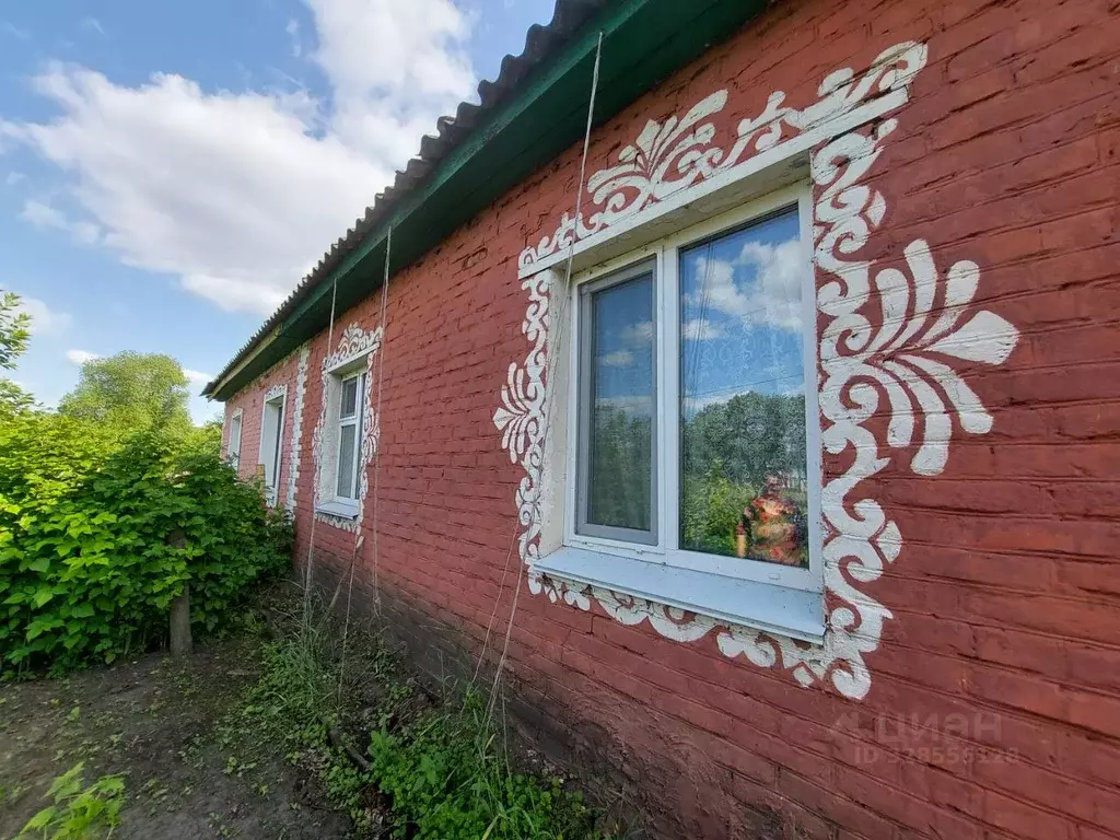 3-к кв. Омская область, Горьковский район, с. Серебряное ул. ... - Фото 2