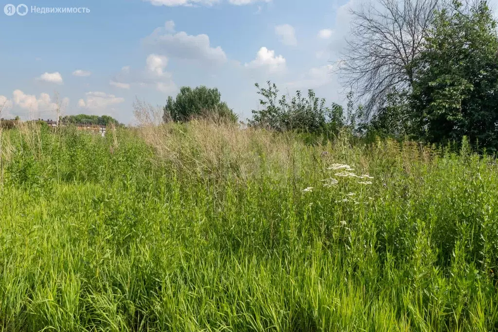 Участок в Новосибирский район, село Криводановка (7.1 м) - Фото 1