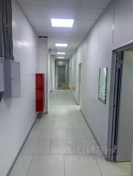 Склад в Московская область, Видное Северная промзона,  (2462 м) - Фото 2