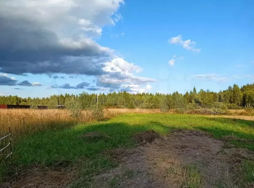 Участок 5 сот. (СНТ, ДНП) - Фото 0