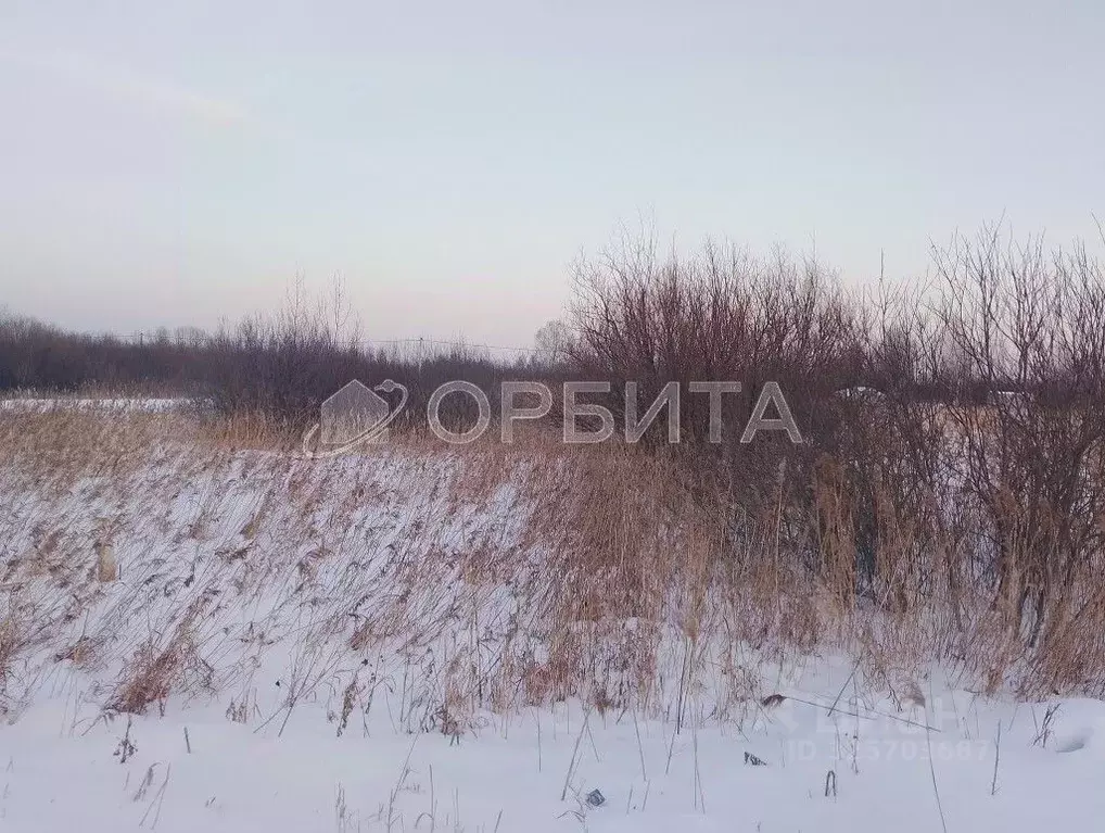 Участок в Тюменская область, Тюмень Поле Чудес садовое товарищество, ... - Фото 2