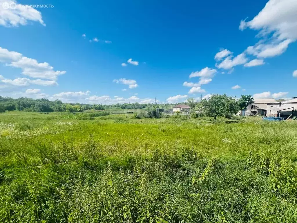 Участок в Старооскольский городской округ, село Курское, Ратная улица ... - Фото 1