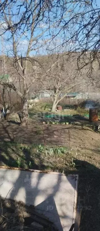 Участок в Саратовская область, Саратов Сеча СНТ,  (6.6 сот.) - Фото 0