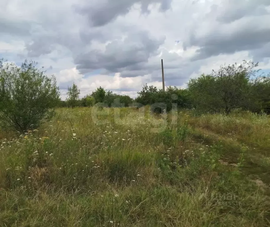 Участок в Белгородская область, Корочанский муниципальный округ, ... - Фото 1