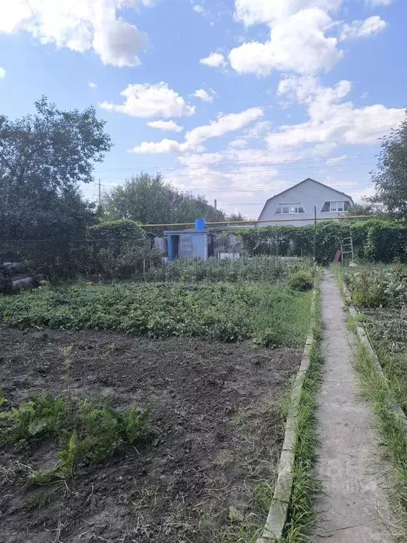 Дом в Курская область, Курский район, Щетинский сельсовет, Лазурное ... - Фото 1