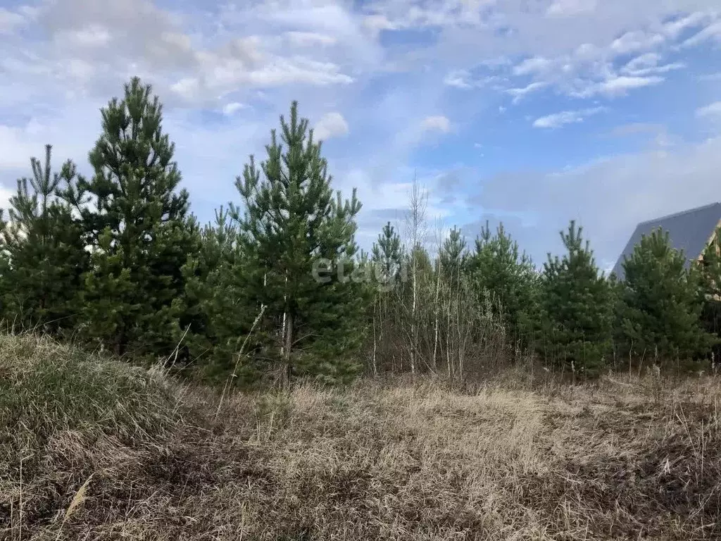 Участок в Тюменская область, Нижнетавдинский район, д. Московка 3-я ... - Фото 0