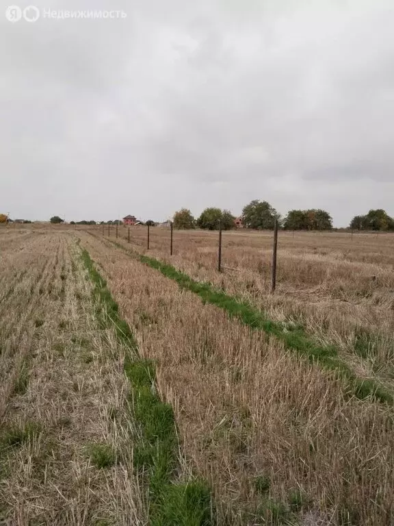 Участок в посёлок Пятигорский, 8-й проезд (15 м) - Фото 2