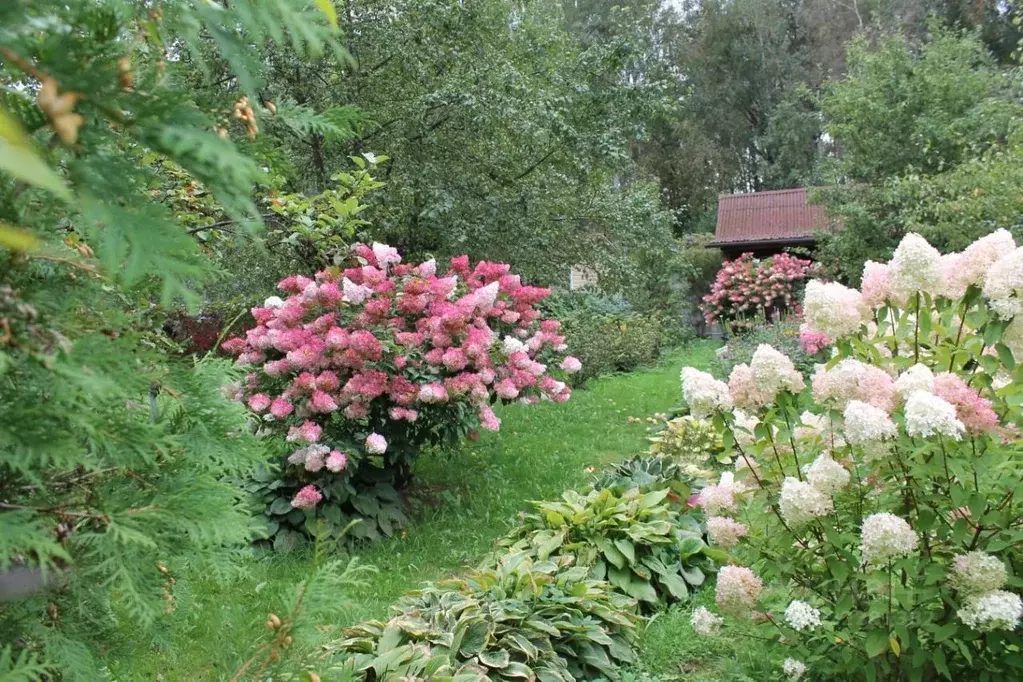 Дом в Калужская область, Обнинск  (25 м) - Фото 2