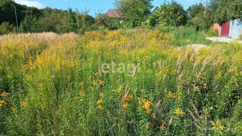 участок в калининградская область, калининград дружба-1 снт, (5.4 . - Фото 0