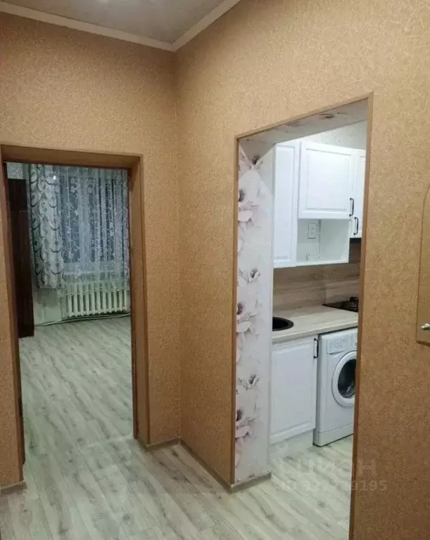 1-к кв. Псковская область, Псковский район, Писковичская волость, д. ... - Фото 2