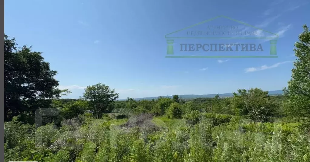 Участок в Приморский край, Артем Нарцисс СНТ, 151 (9.75 сот.) - Фото 2