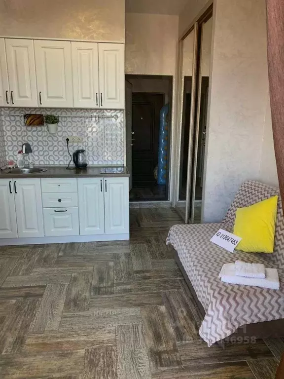 Студия Краснодарский край, Сочи Адлер жилрайон, ул. Белорусская, 8 ... - Фото 2