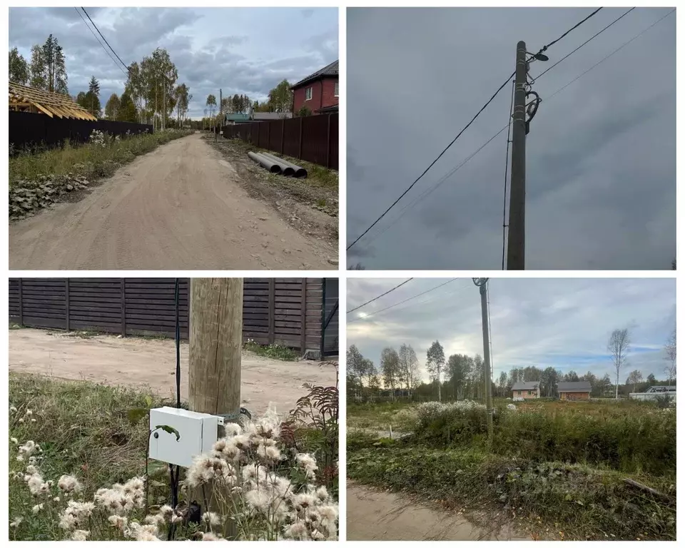 Участок в Архангельская область, Приморский муниципальный округ, Алмаз ... - Фото 2