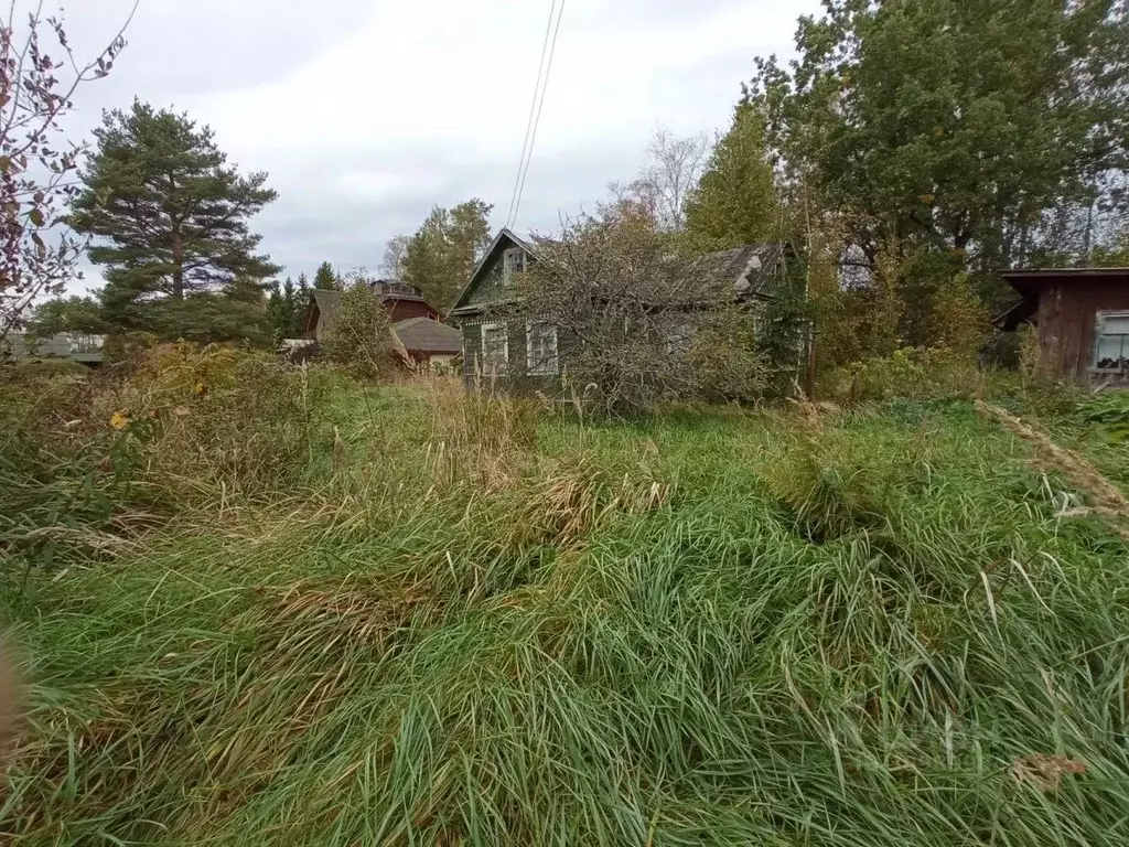 Участок в Ленинградская область, Всеволожский район, Сертоловское ... - Фото 1