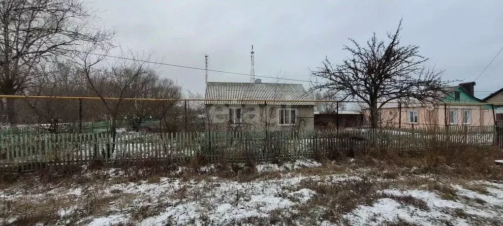 Дом в Липецкая область, пос. Добринка ул. Мира, 29 (72 м) - Фото 0