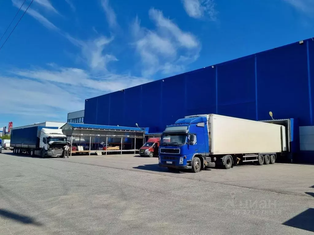 Склад в Санкт-Петербург пос. Шушары, проезд 2-й Бадаевский, 3к1 (15668 ... - Фото 2