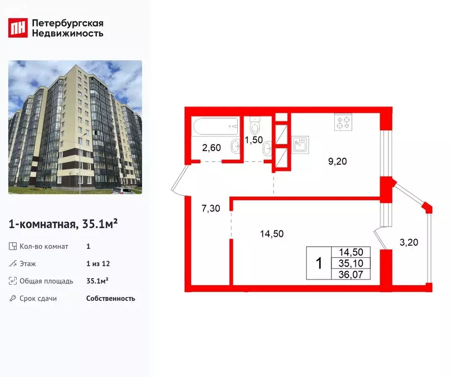 1-комнатная квартира: Аннинское городское поселение, деревня Куттузи, ... - Фото 2