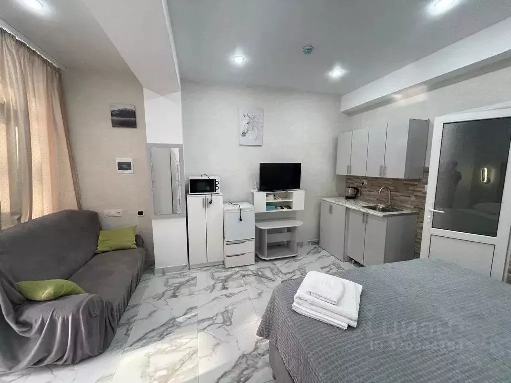 Студия Краснодарский край, Сочи ул. Просвещения, 153Б (28.0 м) - Фото 1