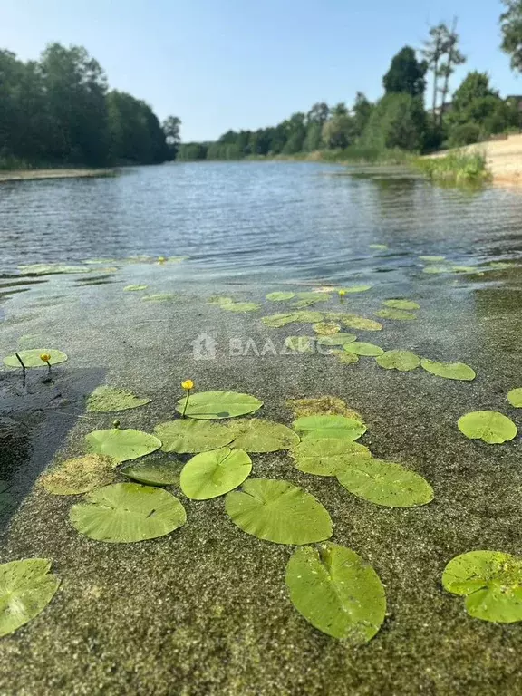 Дом 37,1 м на участке 9,3 сот. - Фото 1