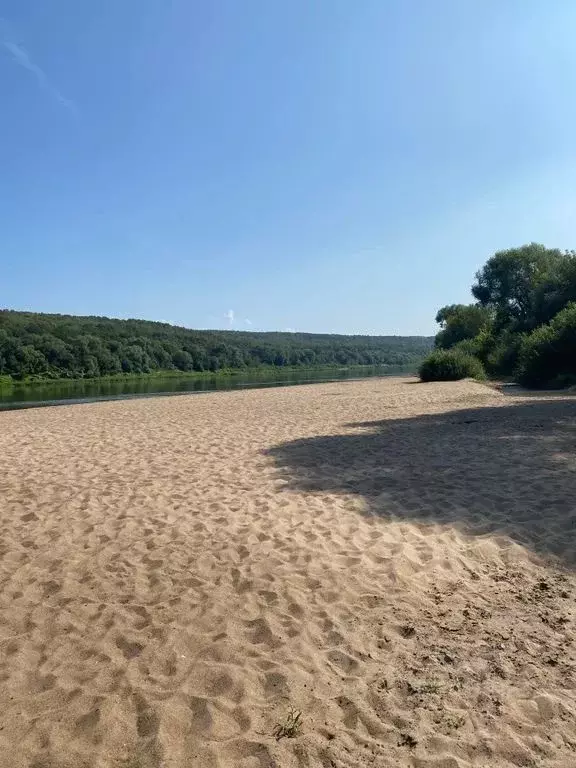 Дом в Калужская область, Таруса ул. Сосновая, 11 (110 м) - Фото 2