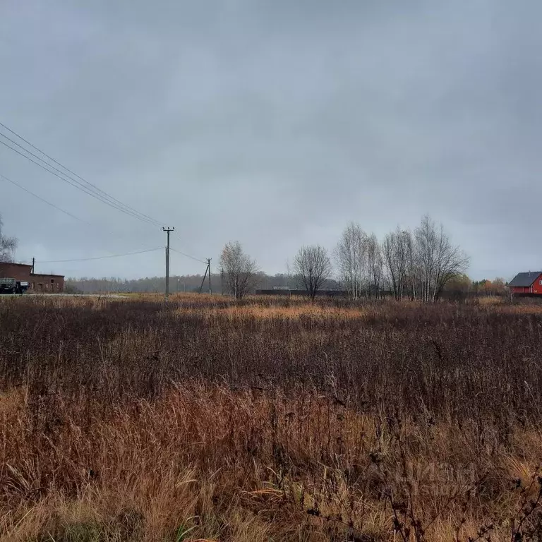 Участок в Московская область, Ступино городской округ, с. Куртино  ... - Фото 0