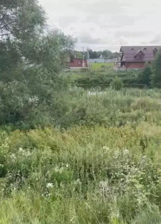 Участок в Московская область, Коломна городской округ, с. Шеметово ул. ... - Фото 0