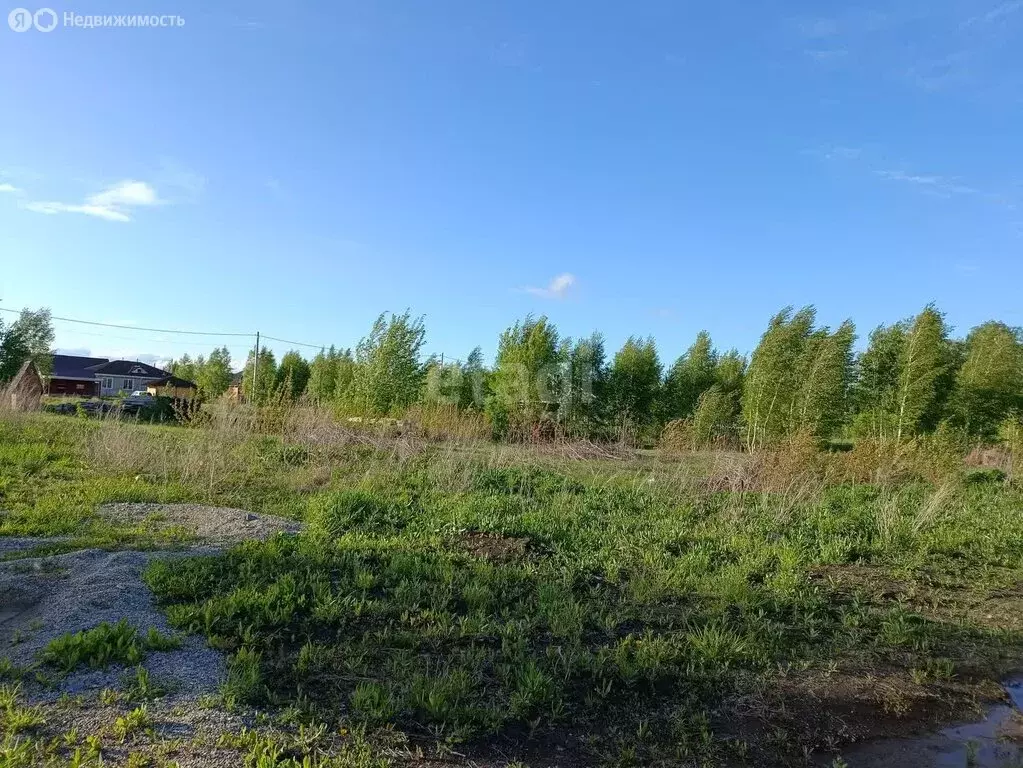 Участок в Верх-Тула, Рябиновая улица (8 м) - Фото 0