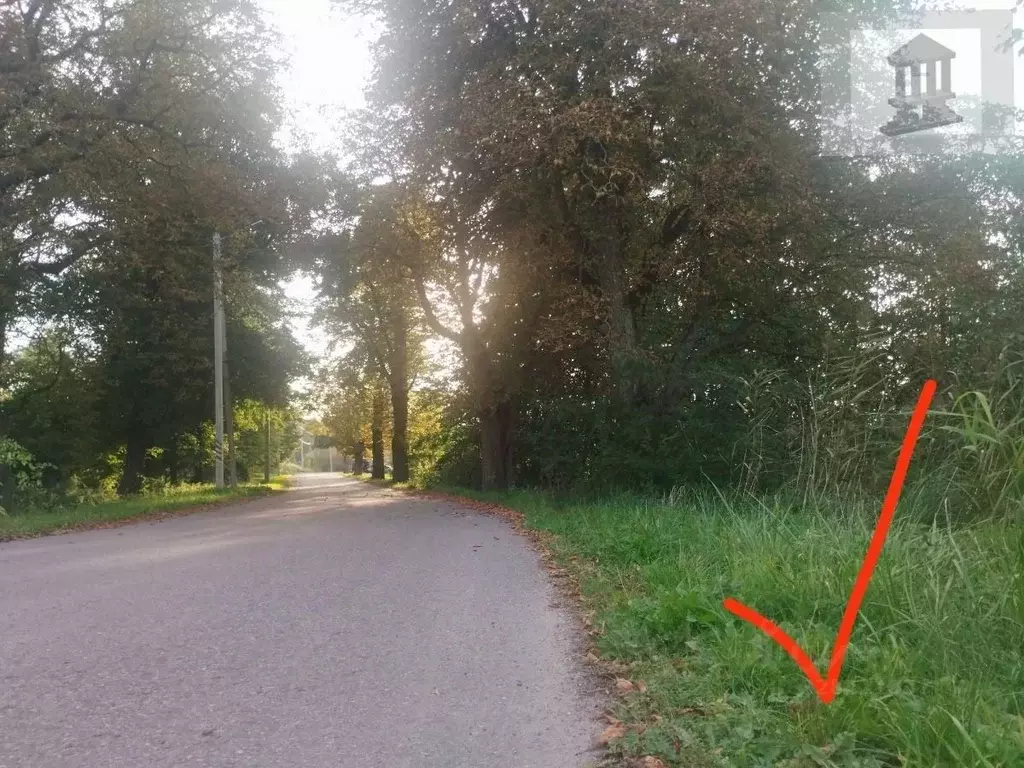 Участок в Калининградская область, Багратионовский муниципальный ... - Фото 1