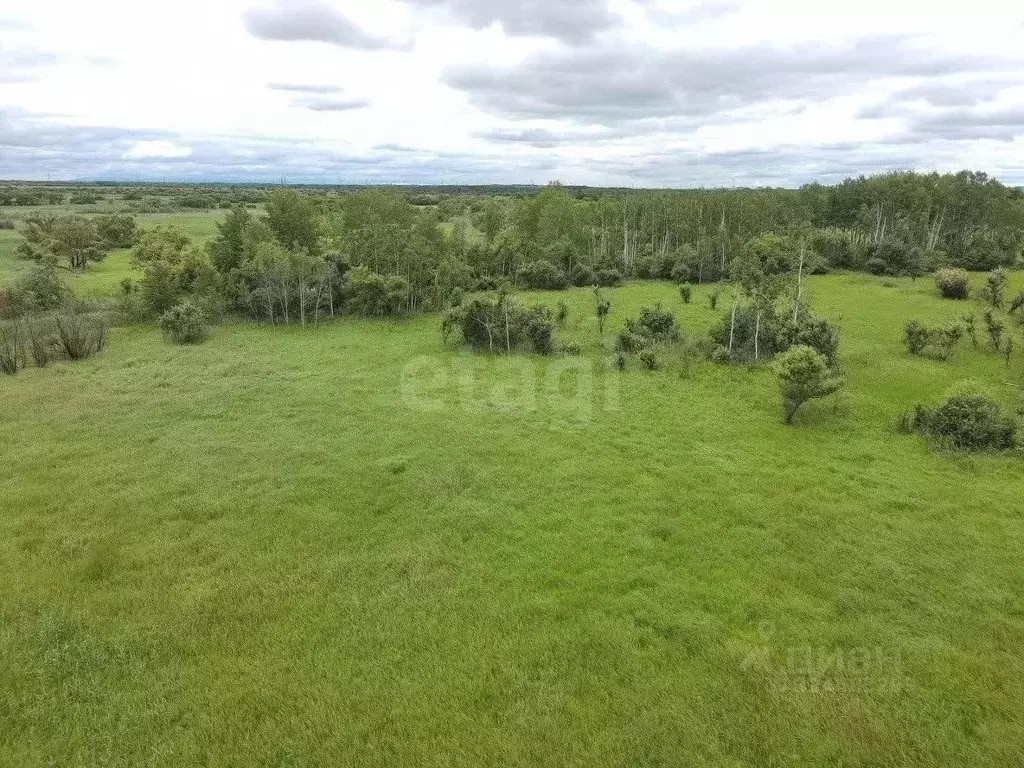 Участок в Хабаровский край, Хабаровский район, Мичуринское с/пос, с. ... - Фото 1