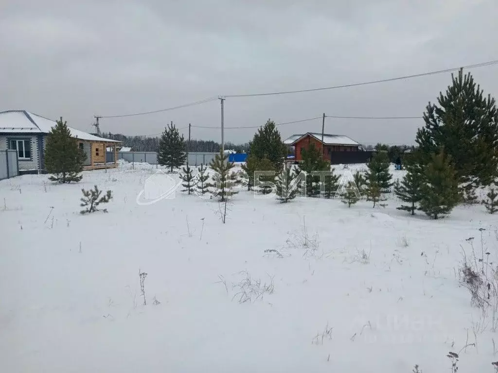 Участок в Тюменская область, Тюменский муниципальный округ, с. ... - Фото 2
