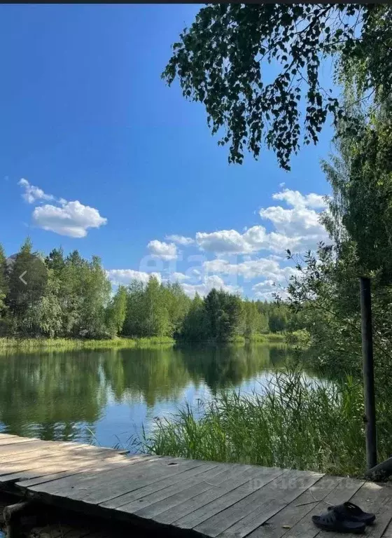 Участок в Московская область, Ступино городской округ, Черемушки СНТ ... - Фото 0