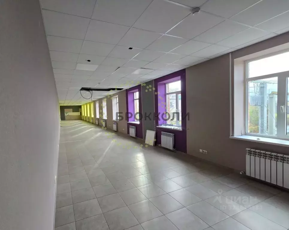 Помещение свободного назначения в Ростовская область, Ростов-на-Дону ... - Фото 2