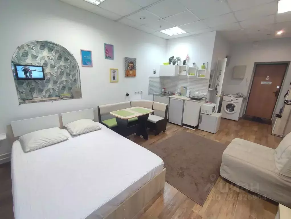 Студия Пермский край, Пермь Екатерининская ул., 122 (27.0 м) - Фото 1