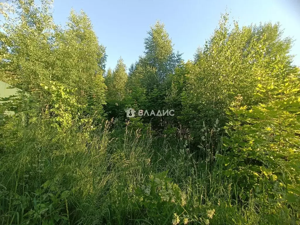 Участок в Московская область, муниципальный округ Луховицы, село ... - Фото 1
