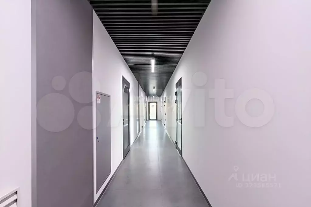 Офис в Новосибирская область, Новосибирск ул. Немировича-Данченко, 156 ... - Фото 1